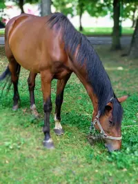 IMG_20190905_134751.webp