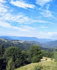 Screenshot_20190905-150510-min.webp