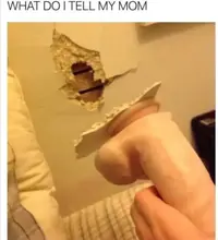 tumblr_oyhz33gM6O1u1vkloo1_500.webp