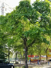IMG_20190908_155113-1728x2304.webp