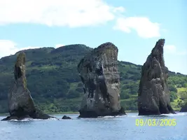 100_6878.webp