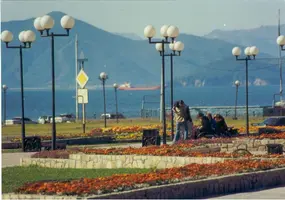 city33.webp