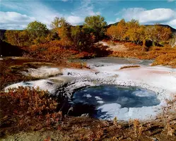ГЕЙЗЕР~1.webp