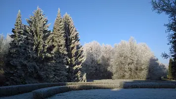 Winter_).webp