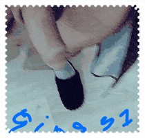 20190912_063138.gif