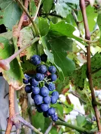IMG_20190912_215635.webp