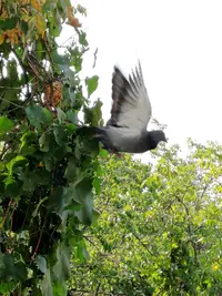 IMG_20190912_215718.webp