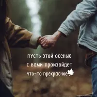 LI2k-jRST8o.webp