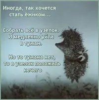 1521966888_image.webp