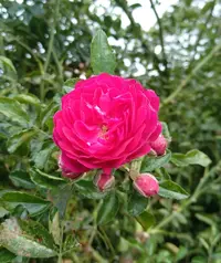IMG_20190917_182300.webp
