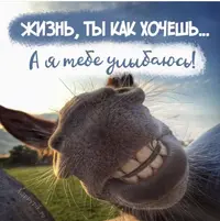 24E9C654-7B26-412C-B607-87531C7D3C21.webp
