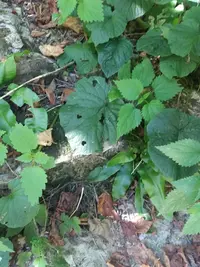 20190915_124858-979x1305.webp