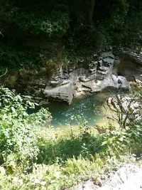 20190915_125904-979x1305.webp