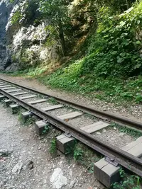 20190915_130220-979x1305.webp