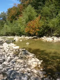 20190915_121528-979x1305.webp