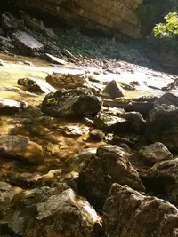 20190915_125603-979x1305.webp