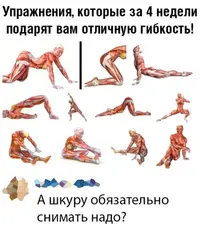 E003D23C-D700-4B6F-A1BA-363D56B1E7E4.webp