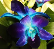 IMG_20190921_233039.webp