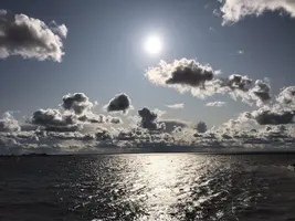 872628B6-C8E7-46F9-96C8-D29DE342E092.webp