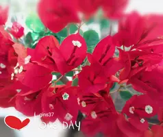 IMG_20190922_125931.webp
