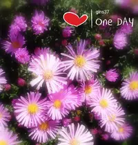 IMG_20190922_130147.webp