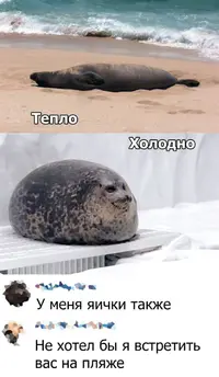 4e3b028d71a37530aefaab4023f3b228.webp