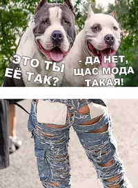 4889cf2a6ac97728c911eff7e5e5d2c3f596d6f2b35962b1433557b3d2eaf87f.webp