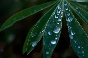 _DSC6873-1.webp