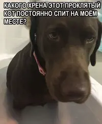 _6G0NEcNOiU.webp