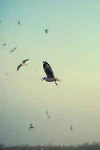 E80F26D6-AD93-43AB-8C67-C4A8B948CD21.webp