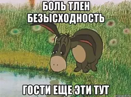 D248FE5D-F99F-47B0-B528-63D9E55FA4AD.webp