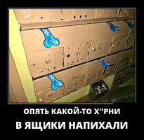 UID343594_1569545625_2.webp
