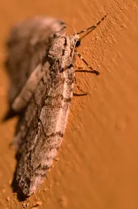 _DSC7230-2.webp