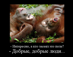 22849.webp