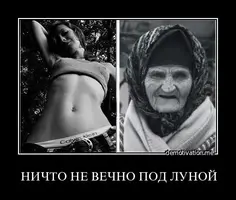 684je4sq44o5.webp
