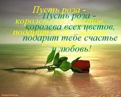 3950d531a63b36b9549dba4ba86b6389.webp
