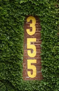 8635.webp