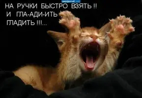 wpid-2pN61qlxFO4.webp