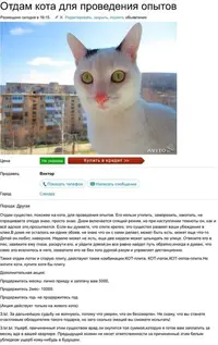 23578.webp