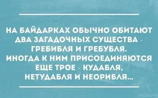 Vh2sv566v44.webp