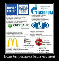 7214995.webp