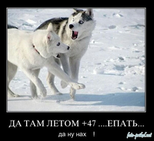 5852025.webp