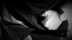 bloggif_5d383be0d48f4.gif