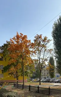 IMG_20190928_141614 (2).webp