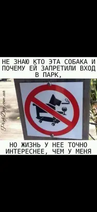 Screenshot_20191007_194416_com.whatsapp.webp