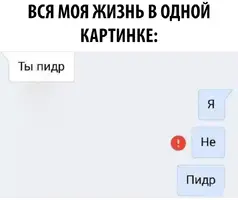 o5YcMCbtQZw.webp