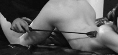tumblr_n0wds06Zh01rx9fkko1_400.gif