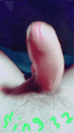 20191008_213443.gif