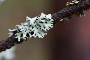 _DSC7978.webp