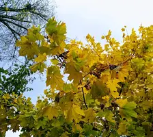 IMG_20191011_135622-min.webp